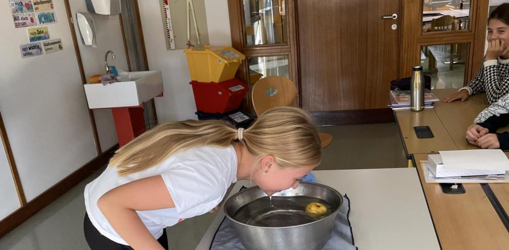 Apple Bobbing 6 Apple Bobbing 6